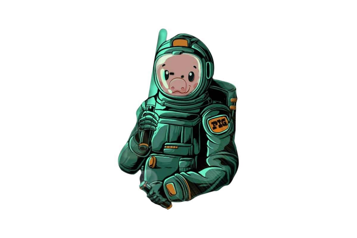 pig token