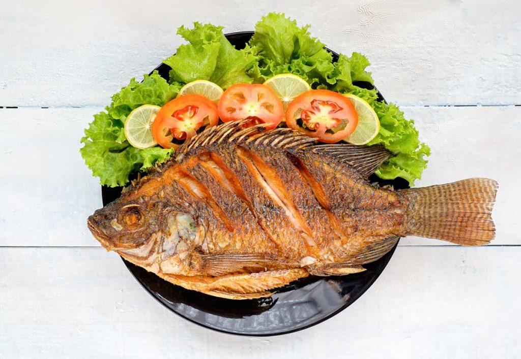 Rakı Balık Kültürü