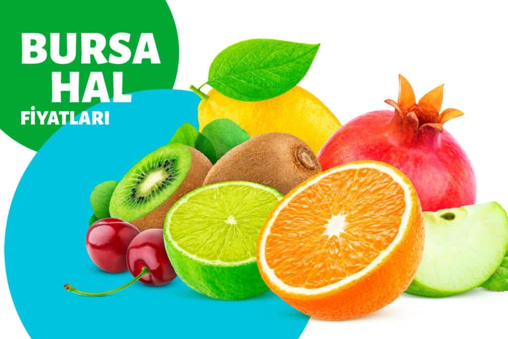Bursa Hal Fiyatı