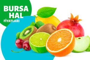 Bursa Hal Fiyatı