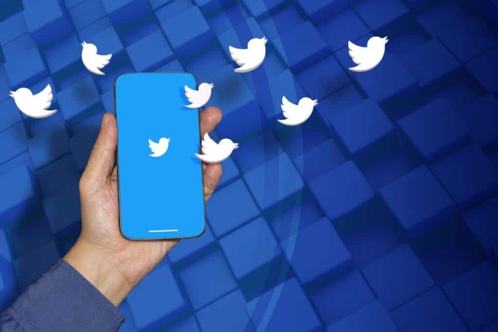 Twitter Mavi Tik Ücreti