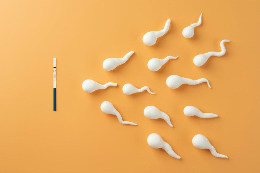 sperm