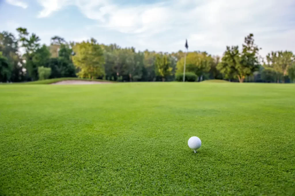 Golf Sahası Fiyatları