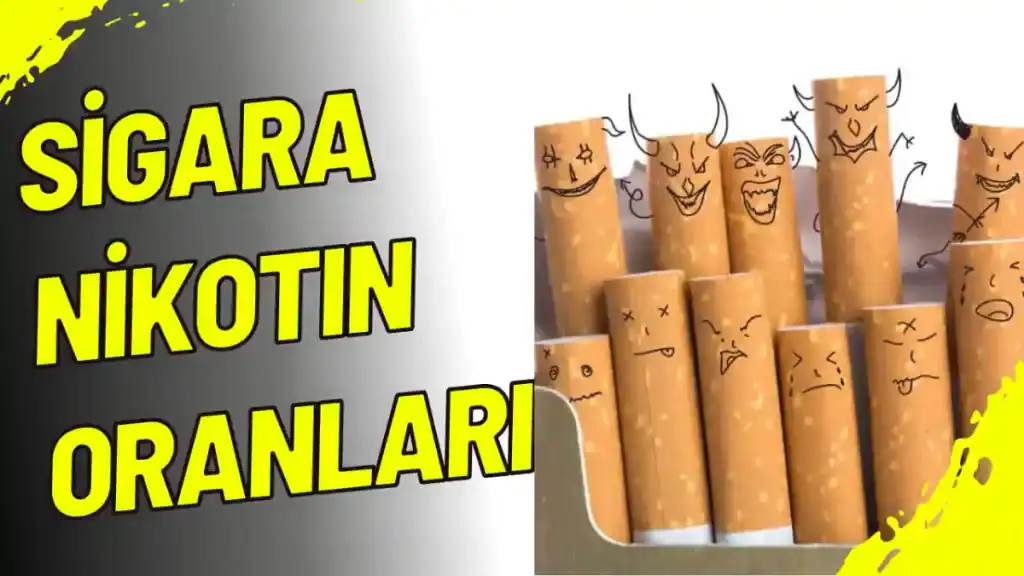 Güncel Sigara Nikotin Oranları