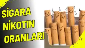 Güncel Sigara Nikotin Oranları