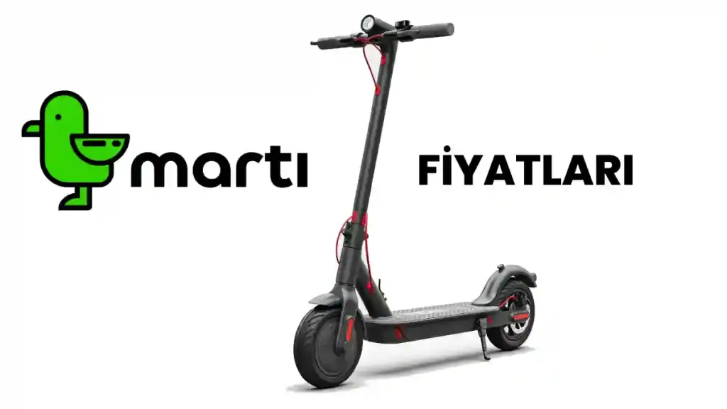 Martı Fiyatları