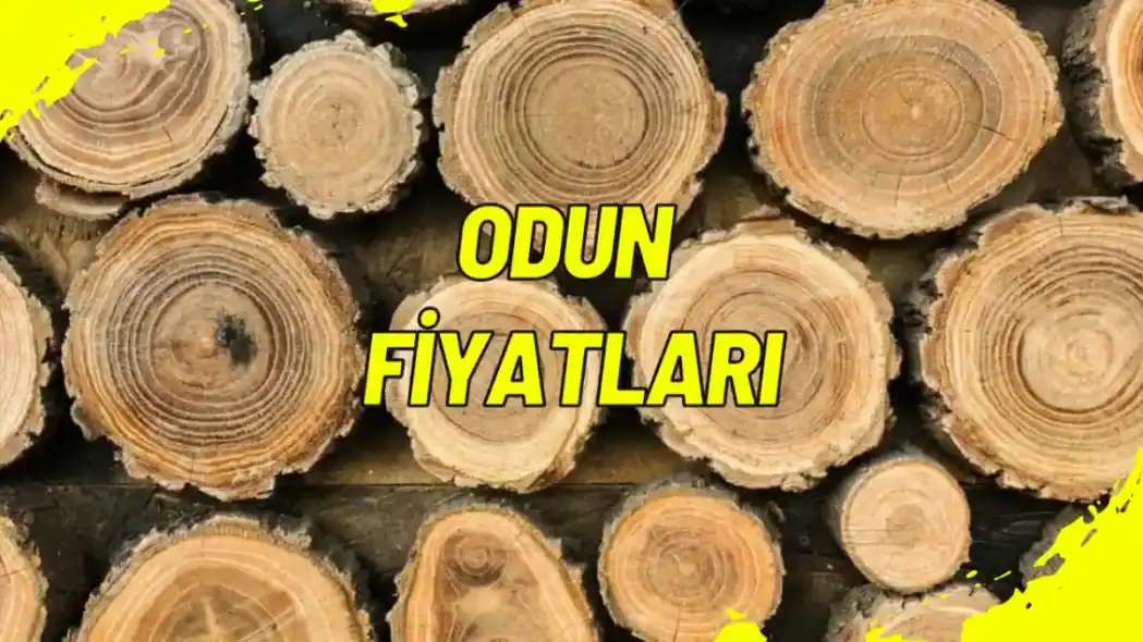 Odun Fiyatları