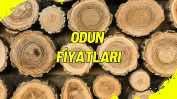 Odun Fiyatları