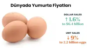 Dünyada Yumurta Fiyatları