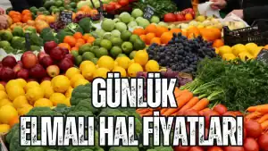 Günlük Elmalı Hal Fiyatları Bugünkü