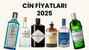Cin Fiyatları 2025