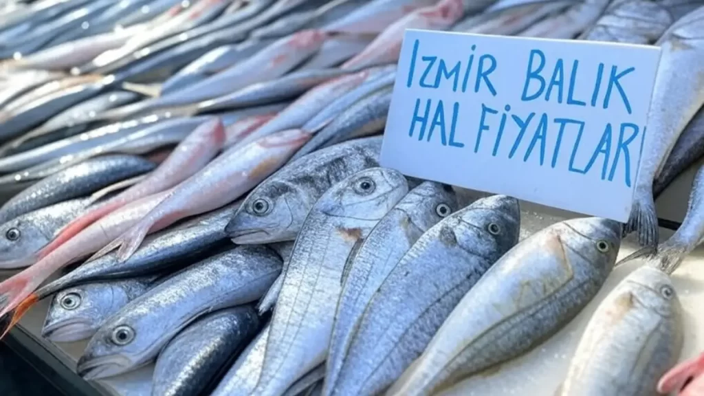 İzmir Balık Hal Fiyatları 2025