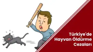 Türkiye'de Hayvan Öldürme Cezaları 2025