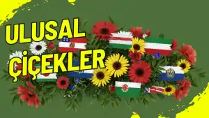 Ulusal Çiçekler