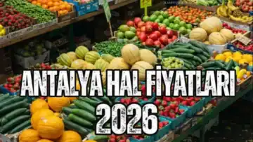 Antalya Hal Fiyatları