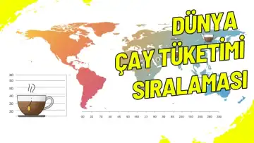 Dünya Çay Tüketimi Sıralaması