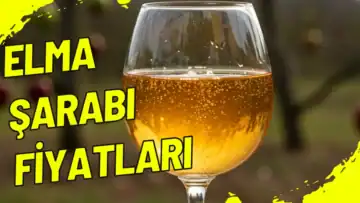 Elma Şarabı Fiyatları