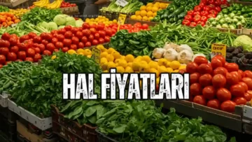 Güncel Hal Fiyatları