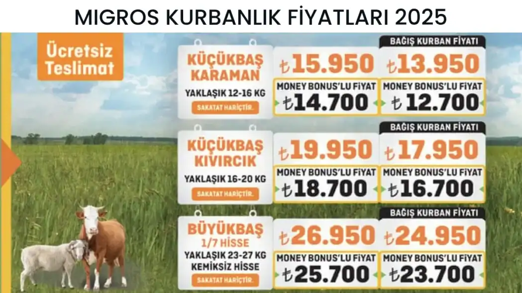 Migros Kurbanlık Fiyatları 2025