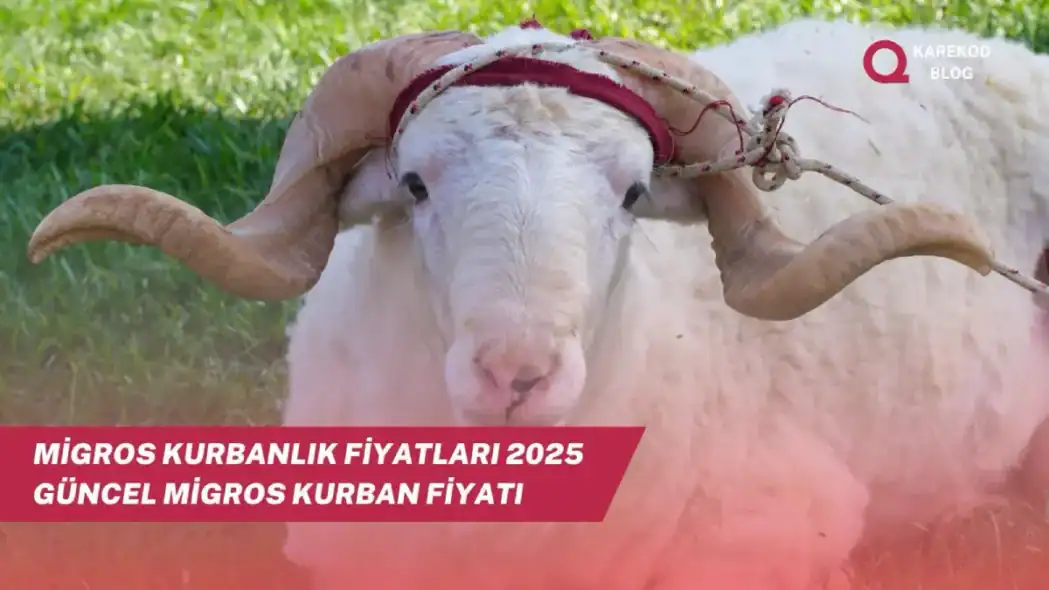 Migros Kurbanlık Fiyatları 2025