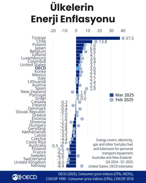 Ülkelerin Enerji Enflasyonu