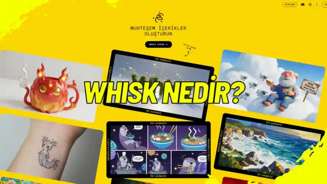 Whisk Nedir