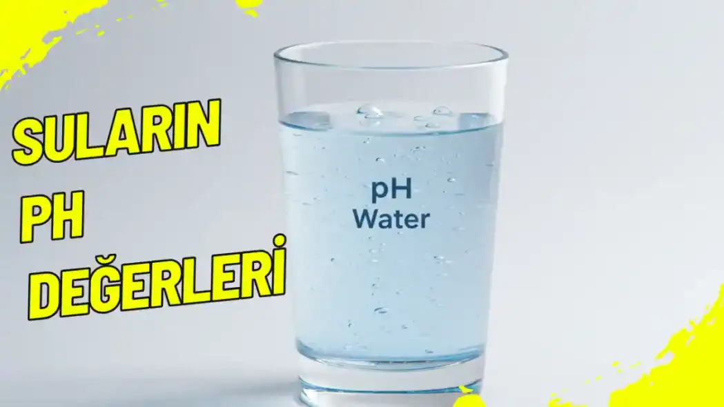Suların pH Değerleri