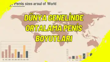 Dünya Genelinde Ortalama Penis Boyutları