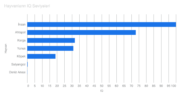 Hayvanların IQ Seviyeleri