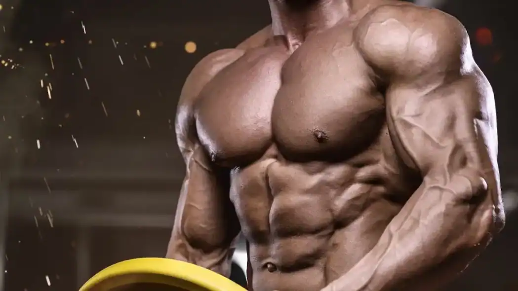 Steroid Satın Almadan Önce Bilmeniz Gerekenler
