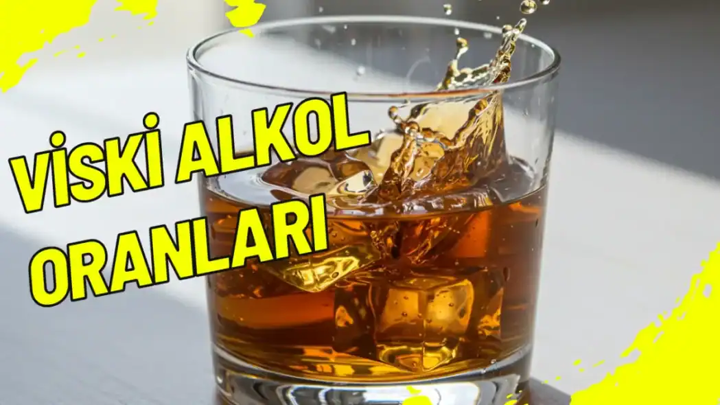 Viski Alkol Oranları