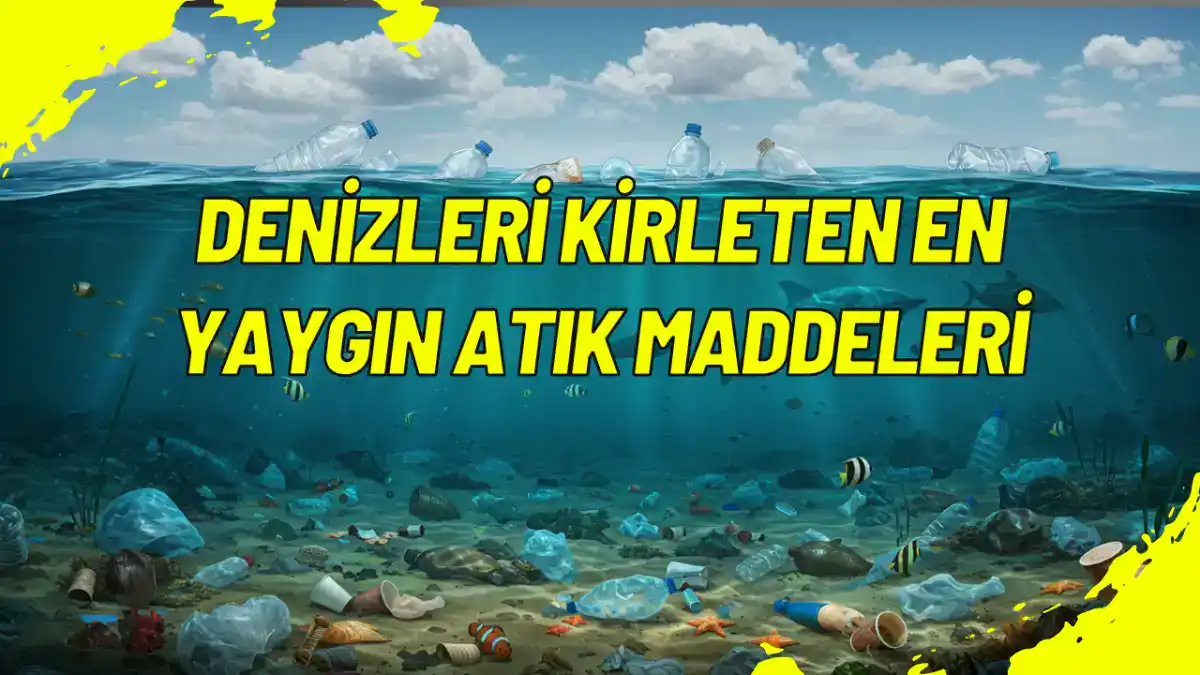 Denizleri Kirleten En Yaygın Atık Maddeleri