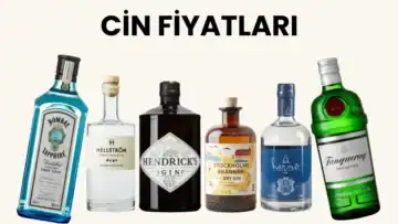 Cin Fiyatları