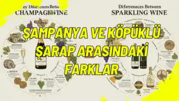 Şampanya ve Köpüklü Şarap Arasındaki Farklar
