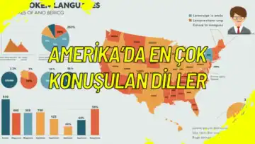 Amerika’da En Çok Konuşulan Diller: 2025 Güncel Bilgiler