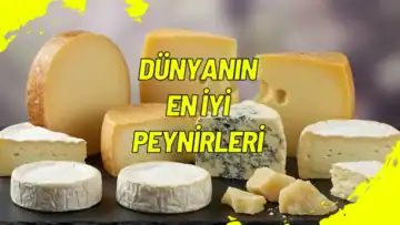 Dünyanın En İyi Peynirleri