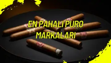 En Pahalı Puro Markaları