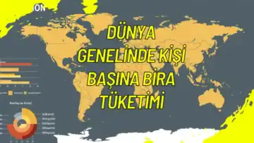 Kişi Başına Bira Tüketimi