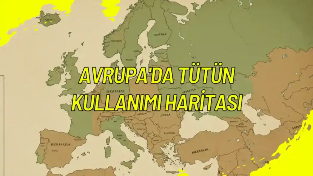 Avrupa'da Tütün Kullanımı Haritası