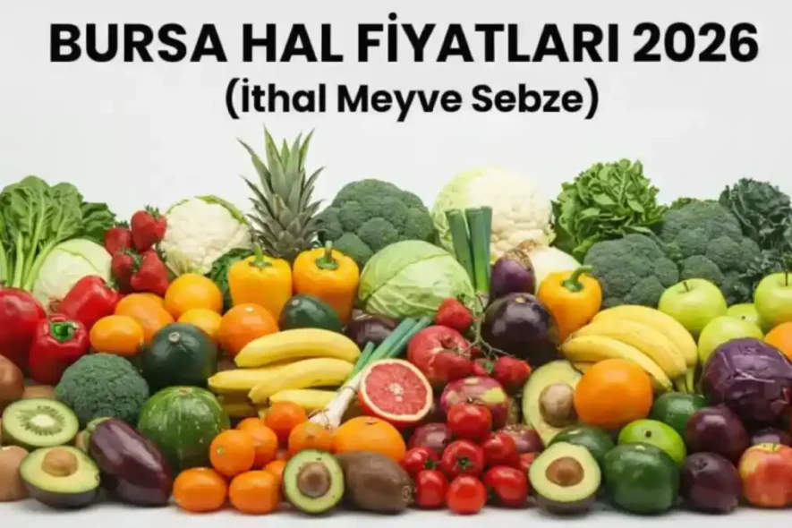 Bursa Hal Fiyatları 2026