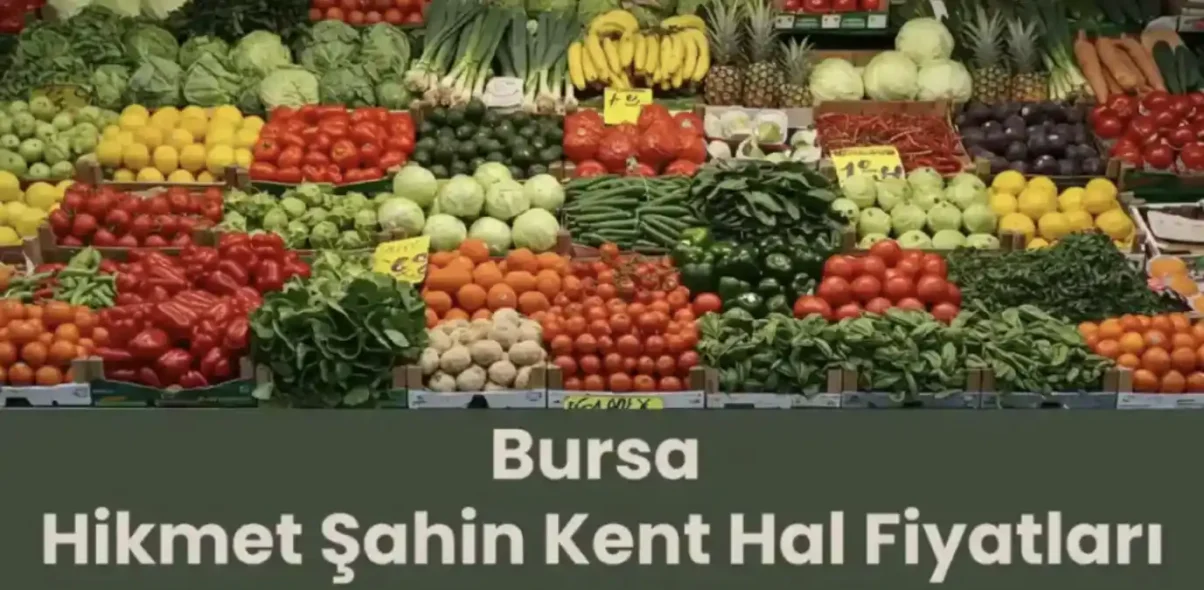 Bursa Hikmet Şahin Kent Hali Fiyatı