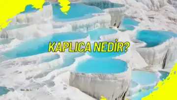Kaplıca Nedir