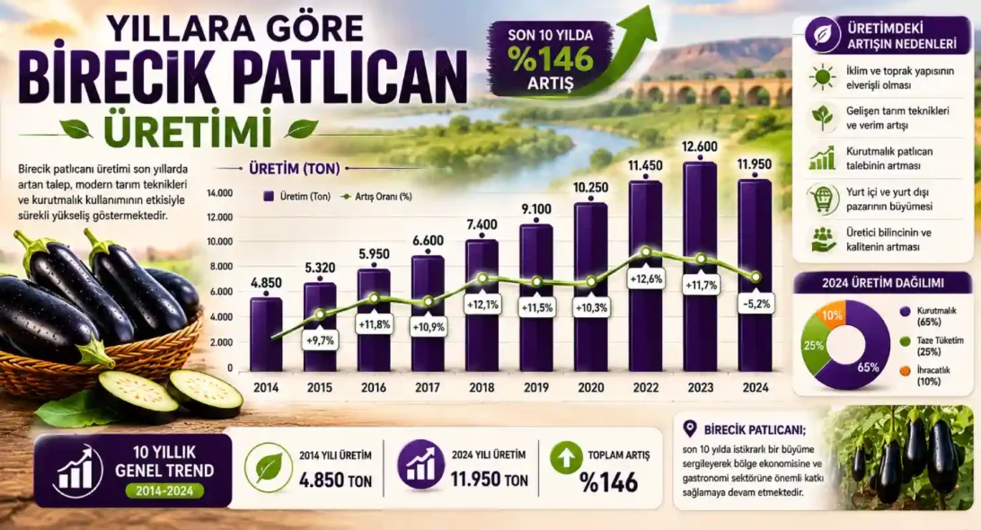Yıllara Göre Birecik Patlıcan Üretimi