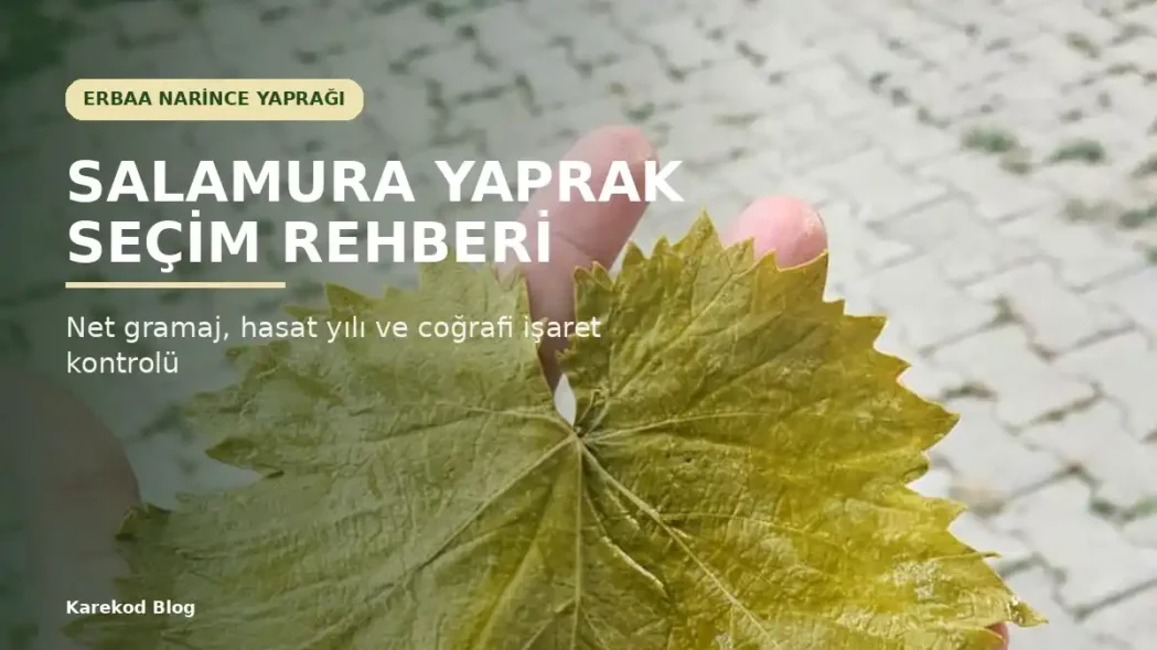 Salamura Tokat Yaprağı