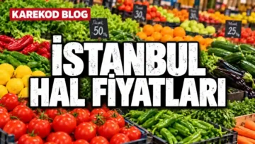 İstanbul Hal Fiyatları