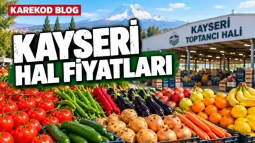 Kayseri Hal Fiyatları