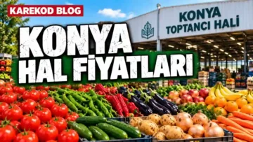 Güncel Konya Hal Fiyatları