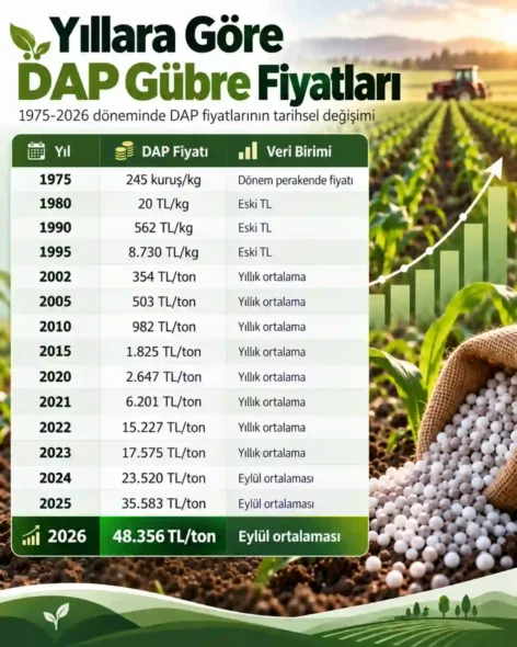 Yıllara Göre DAP Gübre Fiyatları