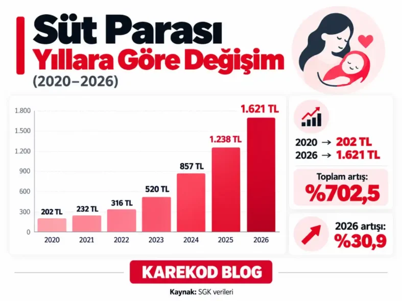 Yıllara Göre Süt Parası